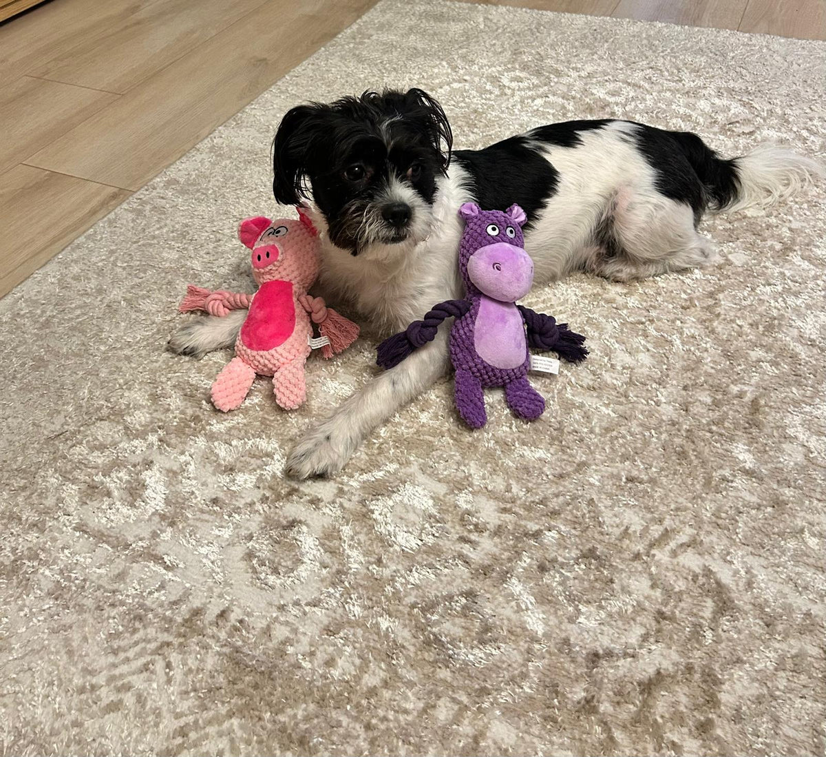 Alle Hundeplüschtiere